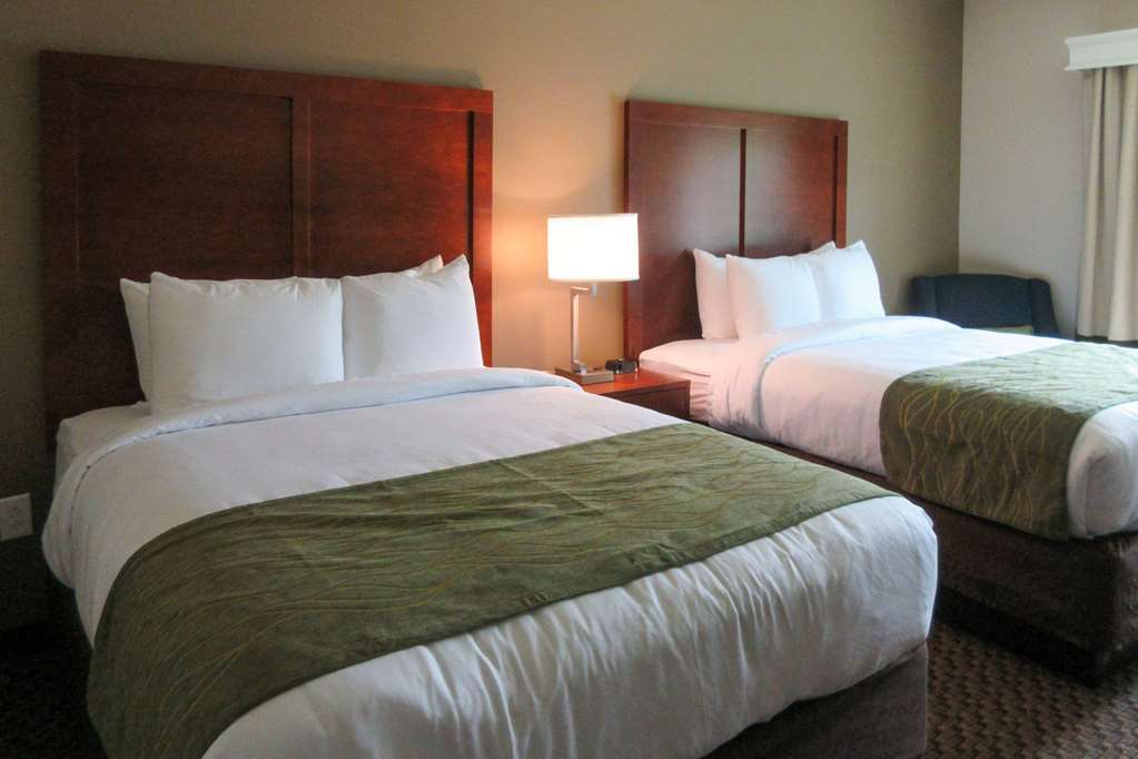 Comfort Inn & Suites Florence Quarto foto